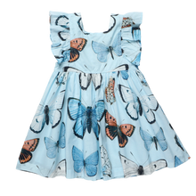 Pink Chicken Elsie Dress-Blue Vintage Butterflies