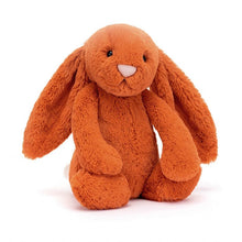 Jellycat Bright Spring Bunny Small